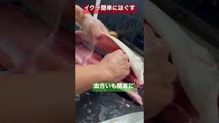 【鮭を捌く】イクラを簡単にバラ子に