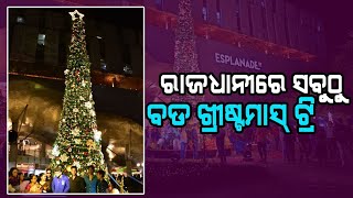 Bhubaneswar's Tallest Christmas Tree#ରାଜଧାନୀରେ ସବୁଠୁ ବଡ ଖ୍ରୀଷ୍ଟମାସ୍ ଟ୍ରି