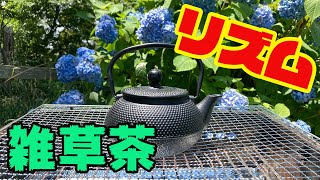 雑草で雑草茶を作って飲んでみた