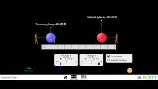 PHY LAB - Explaining Simulation Coulomb's Law