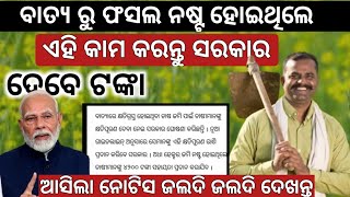 ବାତ୍ୟା ରୁ ଫସଲ ନଷ୍ଟ ହୋଇଥିଲେ ଦେଖନ୍ତୁ II ସରକାର ଦେବେ କ୍ଷତି ପୁରଣ II Farmer For 1 heckter ₹4,500 II