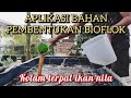 Aplikasi susulan pembentukan bioflok || kolam terpal ikan nila