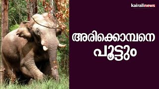 അരിക്കൊമ്പനെ പൂട്ടും  | Wild Elephant | Arikkomban Idukki.