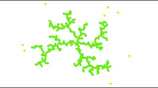 Diffusion Limited Aggregation in Scratch