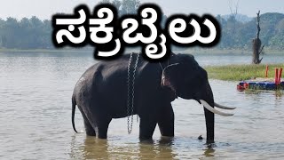 ಸಕ್ರೆಬೈಲು ಆನೆ ಶಿಬಿರ - ಶಿವಮೊಗ್ಗ | Sakrebailu elephant camp - Shivamogga | #sakrebailu