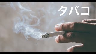 【検証動画】反応する？しない？アルコールチェック(AL-Check Vol.4) TB