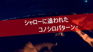 【シーバス】太刀魚からシャローに避難してきたコノシロプール（妄想）を撃つ！【東京湾シーバスチャンネル】