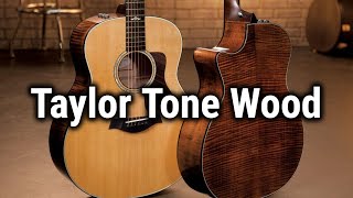 Taylor Guitars Tonewood 2020 楽器フェアオンライン