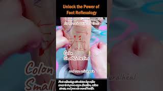 Unlock the Power of Foot Reflexology