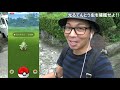 【ポケモンgo】色違いレディバを探して500タップを超えた！もういつ出てきて良いんだぞ？最終日に贈るマスタープレミア2戦！【雨なのに曇り】