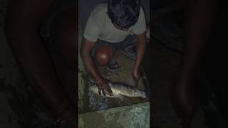 4kg' Amazing 'night time fishing' #big rohufish