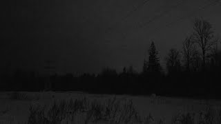 Leadwave – moonlight (Slowed) | silence under pale skies 🌫️