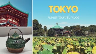 Japan Travel Vlog 1: Travelling to Tokyo and First Impressions