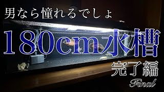 『大型企画』夢の大型水槽設置への道　Final  完了編