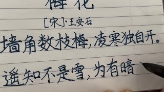 硬笔规范汉字书写（美工笔），古诗词：梅花