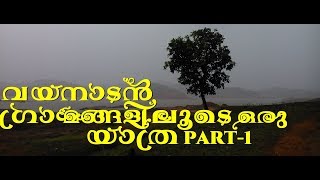 priyadarsini tea environs|   travell vlog| panjarakolly wayanad