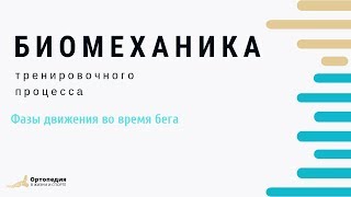 Биомеханика тренировочного процесса. Бег. Фазы движения. Часть-1