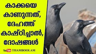 കാക്കയെ കാണുന്നത്,ദേഹത്ത് കാഷ്ഠിച്ചാൽ,ദോഷങ്ങൾ