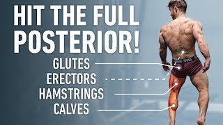 The Best Posterior Chain Focused Leg Day (Glutes, Hamstrings, Lower Back)