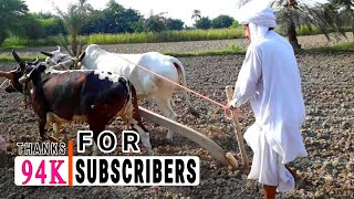 Jatt Movies | Trailer | Pakistani Village Life Channel