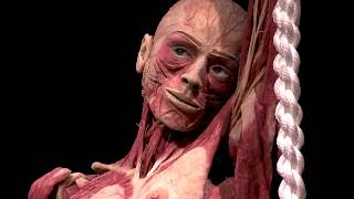 BODYWORLDS