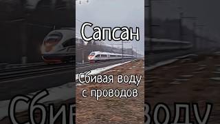 Сапсан,о.п.Сюйська. #ЖелезнаяДорога #ОктябрьскиеМагистрали #РЖД #ЭВС1 #Сапсан #ВысокоскоростнойПоезд