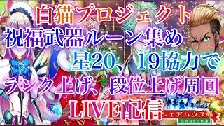 【白猫プロジェクト】視聴者参加型、裏立てOK！祝福武器ルーン集め、星20、19協力でランク上げ段位上げ周回やっていきます！（概要欄見てください）（スポンサー様募集）