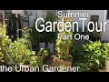 Patio and Alleyway Spaces | Summer Garden Tour Part One