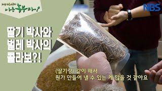 [딸기 부부의 금쪽같은 내 딸기] 딸기 박사와 벌레 박사의 만남~