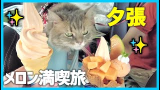 猫とドライブ！！　夕張の絶品メロン＆スイーツと、滝の上公園の絶景、大人気のおにぎりを巡る猫旅