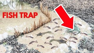 Easy Primitive Fish Trap That Actually Works!