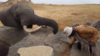 Elephant takes hat!! You won't believe what happens next!!