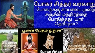 போகர் சித்தர் வரலாறு / காயகல்ப முறை சஞ்சீவி மந்திரம் / பூனை வேதம் ஓதுதல் / கல் சிலை பேசுதல் /