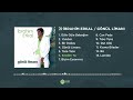 İbrahim erkal sevdim ya official audio