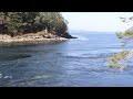 dodd narrows tidal stream