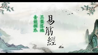 【健康體魄齊來動】青龍探爪｜三盤落地｜易筋經Ep.4