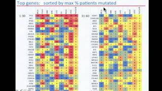 TCGA: Analysis of Somatic Mutations Across Many Tumor Types - Petar Stojanov