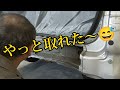 ハイエースのバックドアとバックパネルの取替動画【板金塗装】