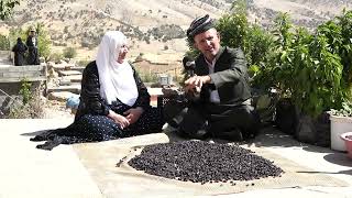 بەرنامەی گوندەكانی كوردستان  گوندی قەرەنگوێ