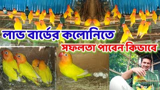 লাভ বার্ড কলোনি তে সফলতা পাবেন কিভাবে জেনে নিন || love birds colony breeding || Birds of village