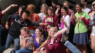 Be a Summer Scholar at Loyola University Chicago