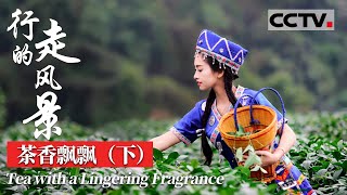 【Eng Sub】《行走的风景》第六集（下）武夷岩茶“岩骨花香”最迷人 品鉴最纯粹的茶香岩韵【CCTV纪录】