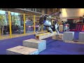 Atlas robot hilariously failing and falling at parkour