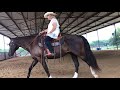 demo of jack brainard ‘s 6 principles of horsemanship