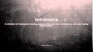 What does tetramera mean