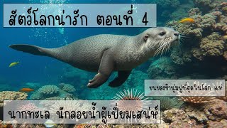 เรื่องน่ารู้ของเหล่าสัตว์ ตอนที่ 4 นากทะเล #สัตว์โลกน่ารัก #สัตว์น่ารักๆ #สัตว์ต่างๆ    #สัตว์แปลก