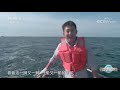 壮阔！位于黄海深处的海洋岛上有个240万亩的“海洋牧场” 这里供应着中国一半以上的虾夷扇贝！20211208 《远方的家》cctv中文国际