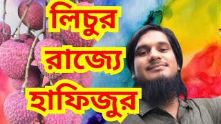 লিচু'র রাজ্যে হাফিজুর, লিচু চোর ধরার উপায়। Hapijur's New Vlog। নিউ বাংলা ডকুমেন্টারি ভ্লগ #ThanksALL