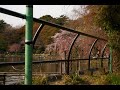 20080329青葉の森公園・千葉寺・千葉公園