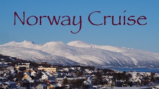 Norway Cruise - we saw the Northern Lights!